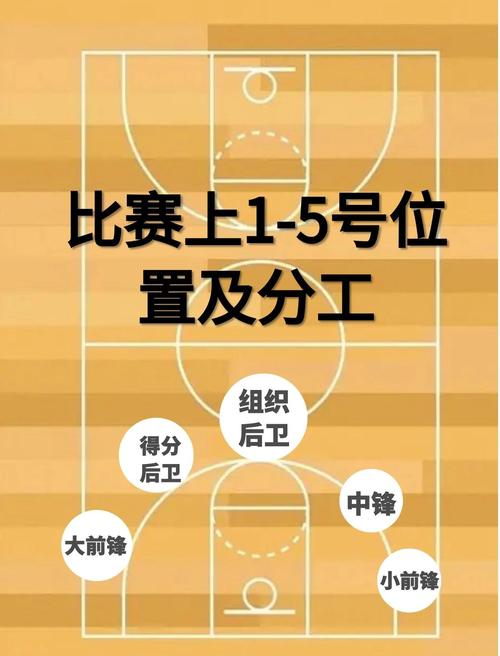 NBA球员场上位置职责_篮球场上五个位置特点_nba球员位置图